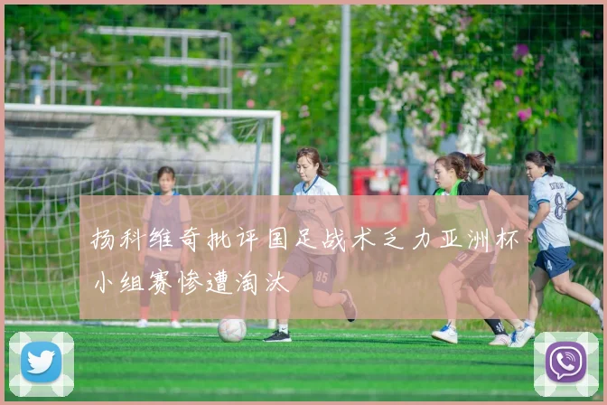 扬科维奇批评国足战术乏力亚洲杯小组赛惨遭淘汰